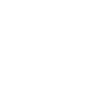 Spider Cord bungee cords diagram